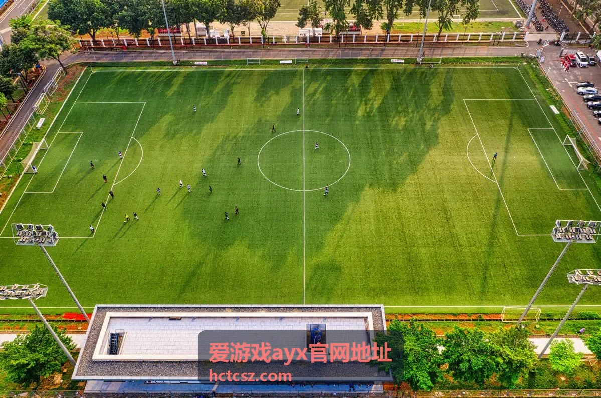 爱游戏ayx官网地址版本更新要点速览配图